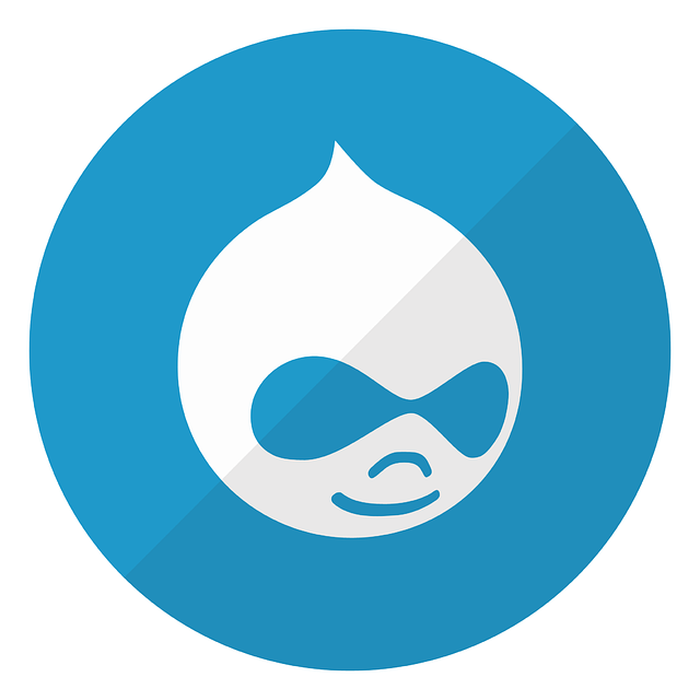 Icon representing Drupal, featuring a stylized water droplet with a smiling face.