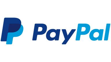 PayPal logo, representing Techwink's partnership with the payment platform