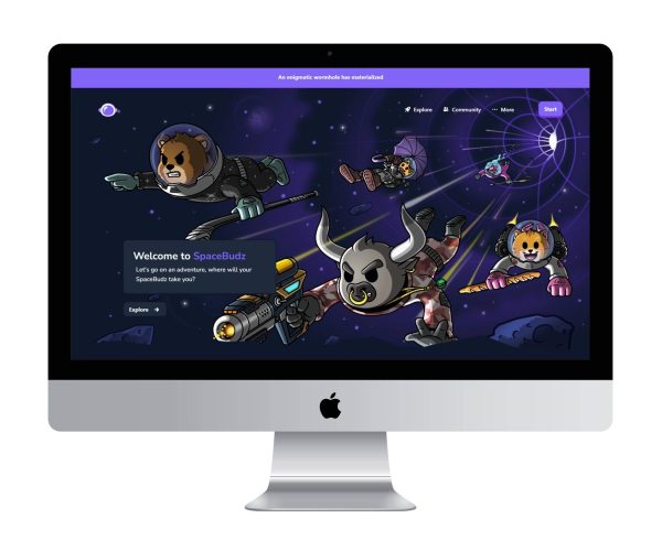 A portfolio image showcasing SpaceBud's success, featuring a sleek website design